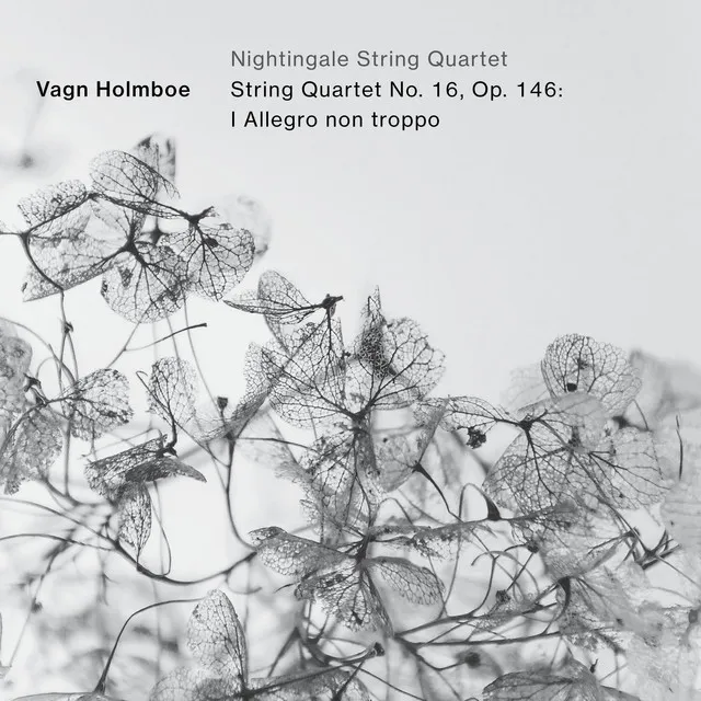 String Quartet No. 16, Op. 146: I. Allegro non troppo