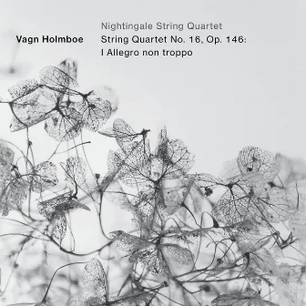 String Quartet No. 16, Op. 146: I. Allegro non troppo by Nightingale String Quartet