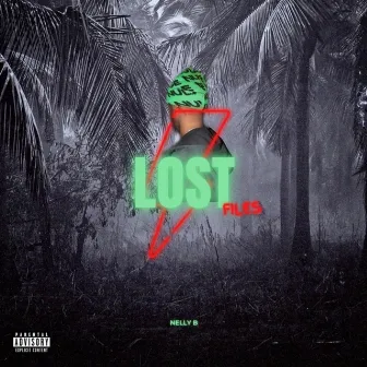 Lost Files by NellyB