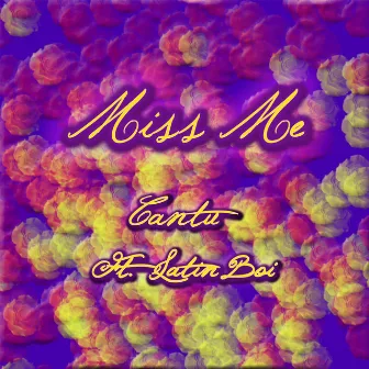 Miss Me by Cantu