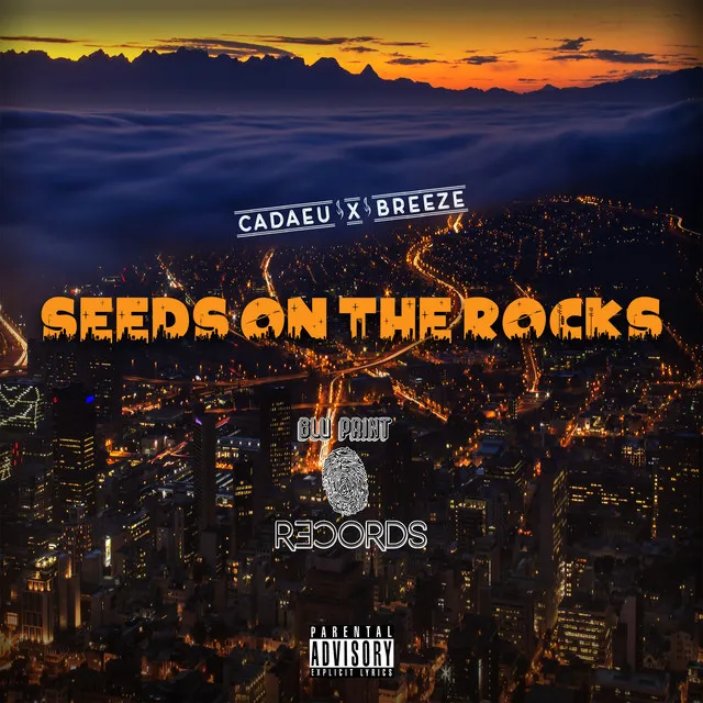 Seeds on the rocks