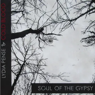 Soul of the Gypsy by Lydia Pense