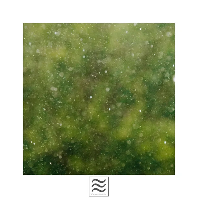 Background Pads with Rain Ambient