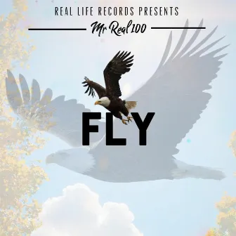 Fly by Mr Real 100