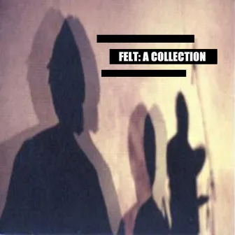 A Collection by Felt