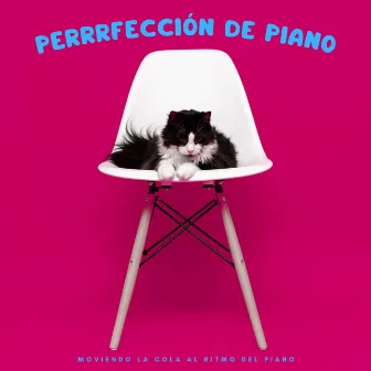 Perrrfección De Piano: Moviendo La Cola Al Ritmo Del Piano by Fácil escucha de jazz