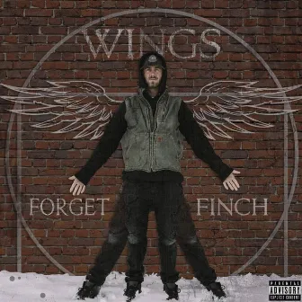 Wings by Forget Finch