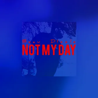 Not My Day by Beau Dizzle