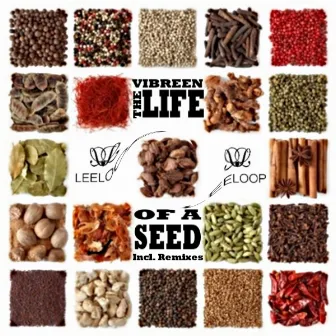 The Life Of A Seed Remixes by Vibreen