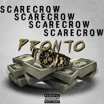 Pronto by ScarecrowCrowWorld