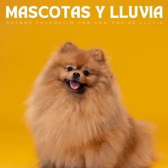 Mascotas Y Lluvia: Duerme Tranquilo Con Sonidos De Lluvia by Academia de Música