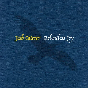 Relentless Joy by Josh Caterer