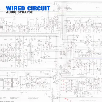 Wired Circuit by Audio Synapse