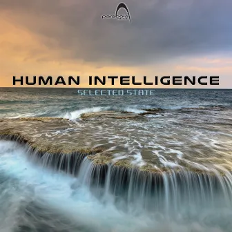 Selected State by Human Intelligence