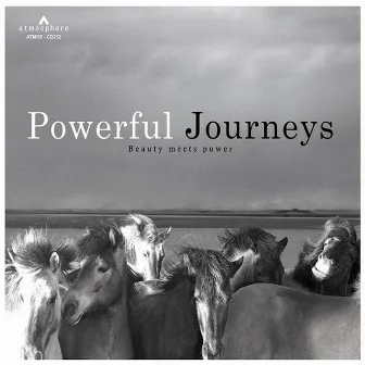 Powerful Journeys by Ty Unwin