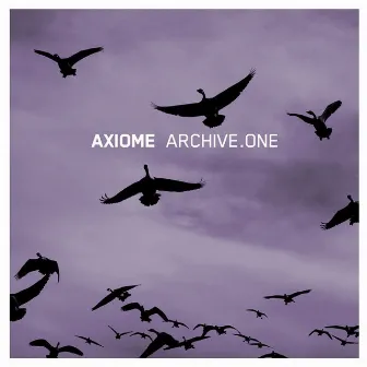 Archive.One by Axiome