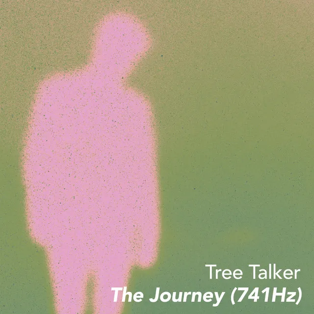 The Journey (741Hz)