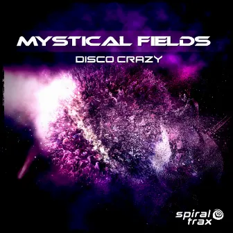 Disco Crazy by Mystical Fields