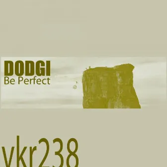 Be Perfect by Dodgi