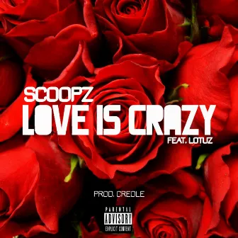 Love Is Crazy by Scoopz