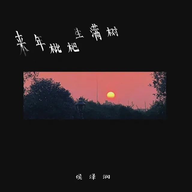 来年枇杷生满树 - DJ德朋版