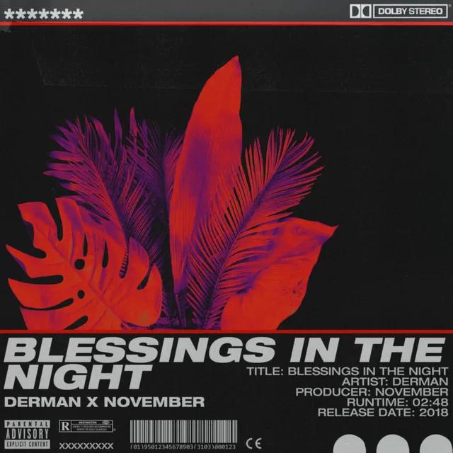 Blessings In The Night