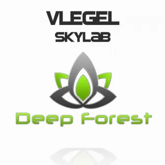 Skylab by Vlegel