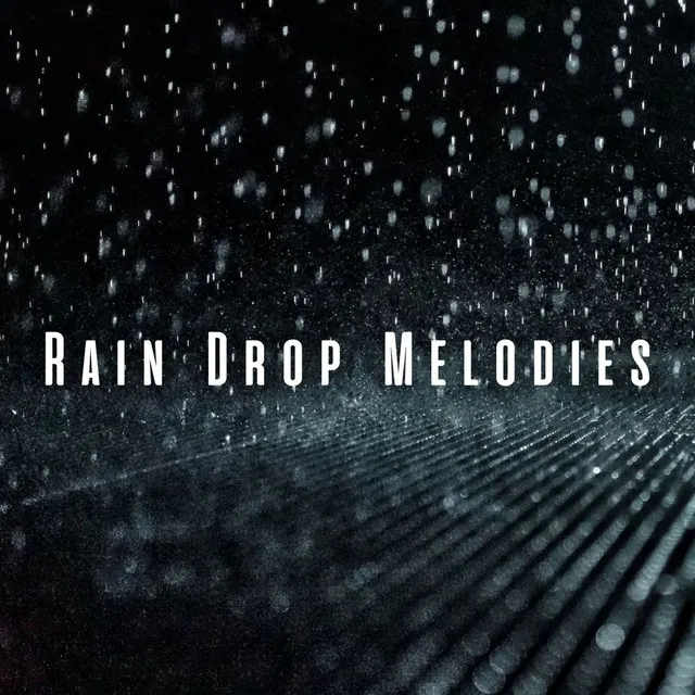 Rain Drop Melodies: Meditative Beach Waves for Cats