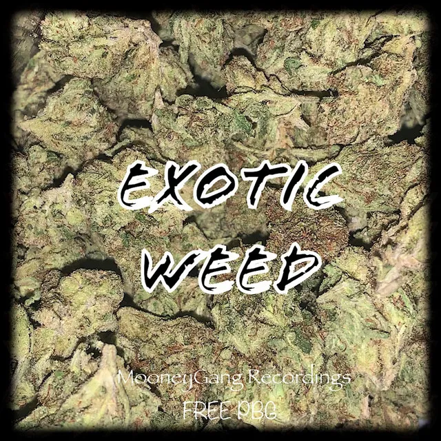 EXOTIC WEED