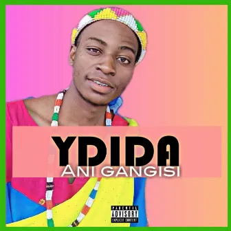 Ani Gangisi by YDIDA