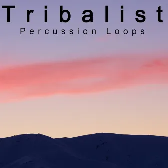 Percussion Loops by Tribalist