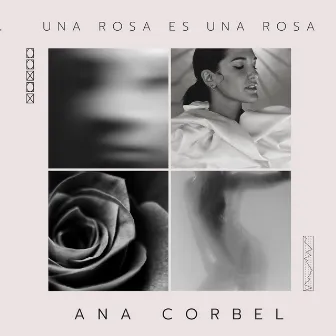 Una Rosa Es una Rosa by Ana Corbel