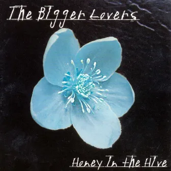 Honey in the Hive by The Bigger Lovers