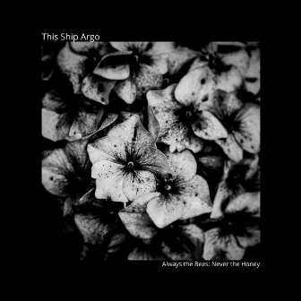 Always the Bees: Never the Honey by This Ship Argo