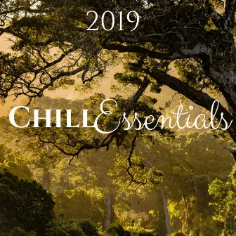 Chill Essentials 2019 - Ambient Music with Nature Sounds by Buddha Chill Space