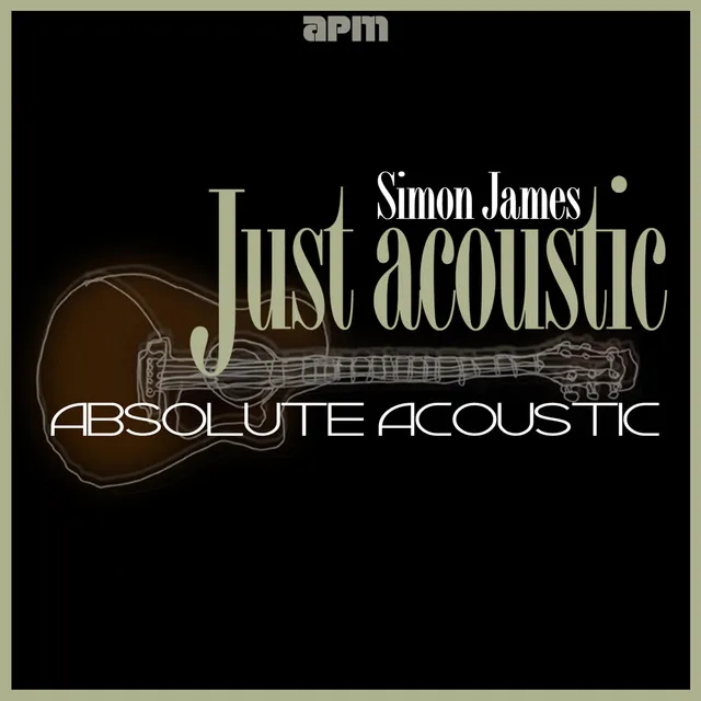 Just Acoustic - Absolute Acoustic