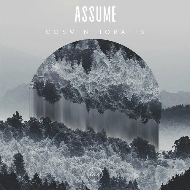 Assume It - Fabian Weitz Remix