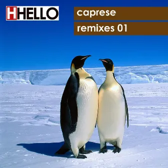 Remixes 01 by Caprese