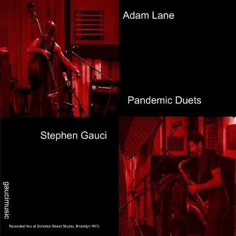 Pandemic Duets by Adam Lane