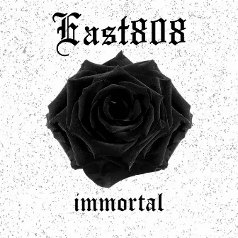 Immortal by East808