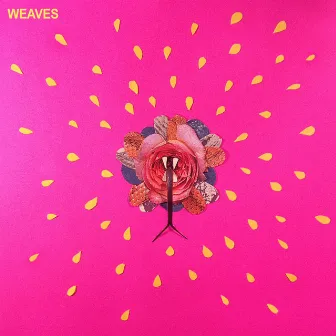 Weaves by Weaves