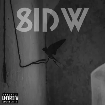 SIDW Freestyle by EarZen