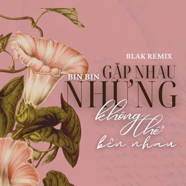 Gặp Nhau Nhưng Không Thể Bên Nhau - Blak Remix