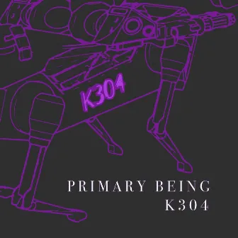 K304 by Primary Being