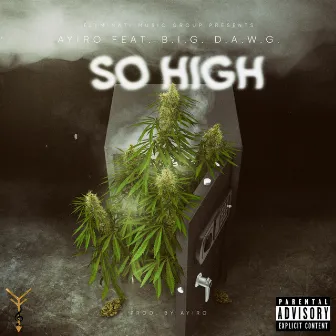 So High by Ayiro