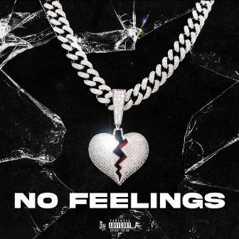 No Feelings by Bandupshmula