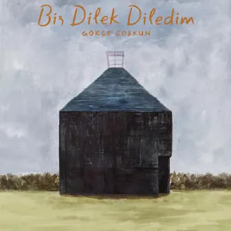 Bir Dilek Diledim by Gökçe Coşkun