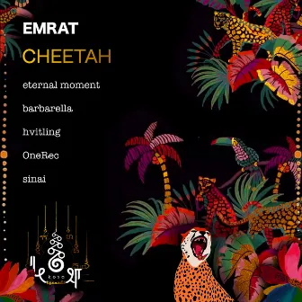 Cheetah by Emrat