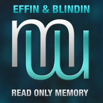 Read Only Memory by Effin & Blindin