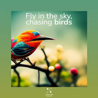 Fly in the sky, chasing birds by Feed Your Soul